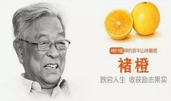 3cd6deb042.jpg timg (5).jpg